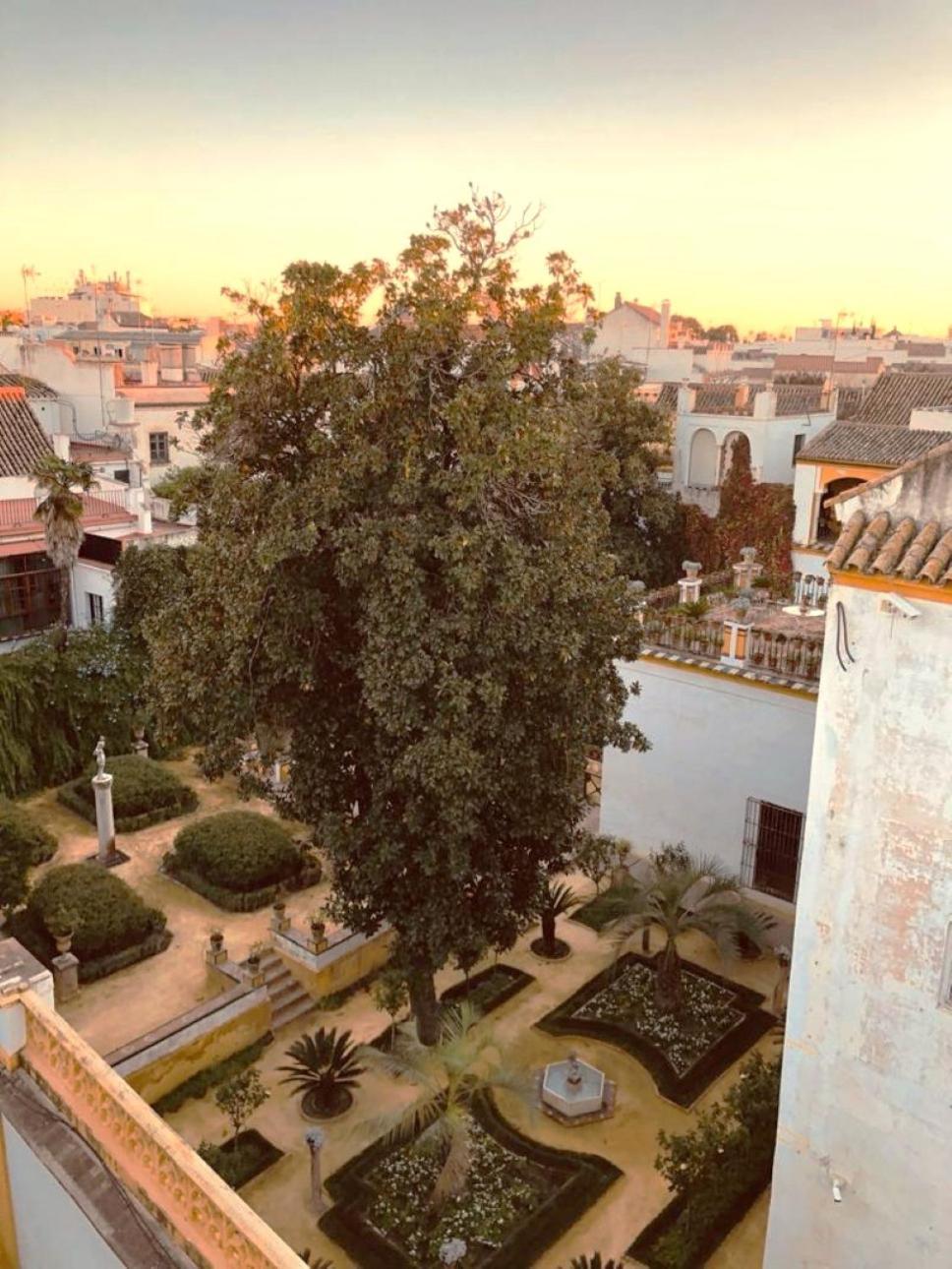 Atico Caleria Con Vistas A La Giralda Seville